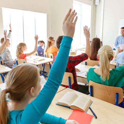 Tramo de Formación Docente